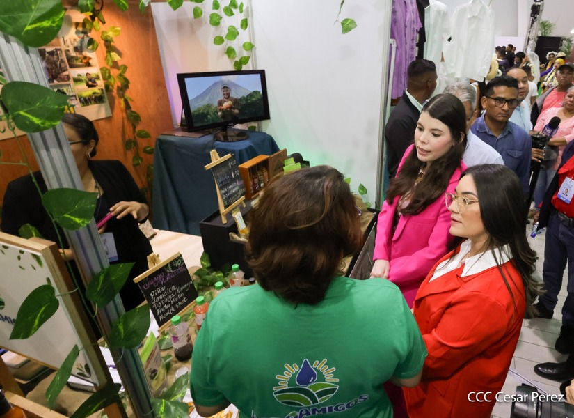 EXPO-(20)