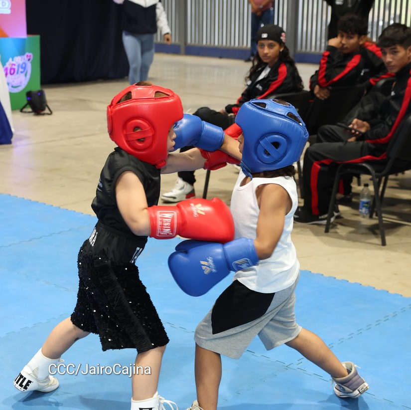 BOXEO14
