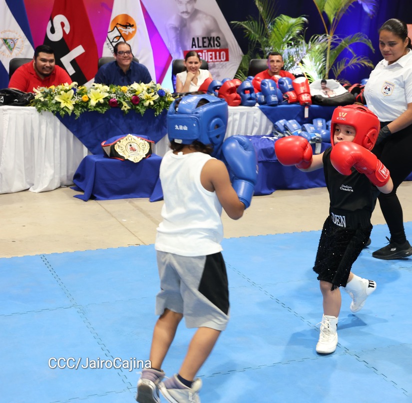 BOXEO9