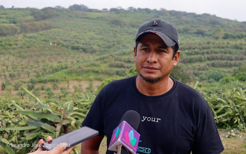 PITAHAYA54
