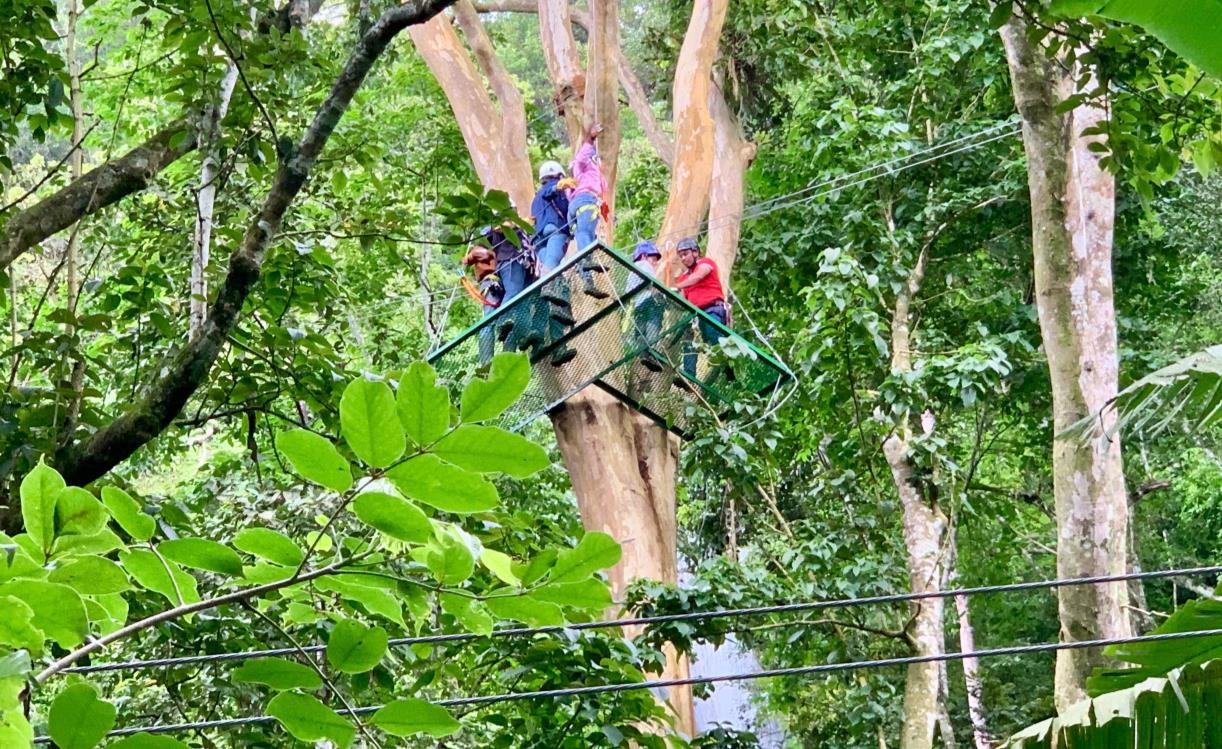 CANOPY3