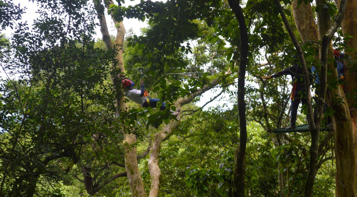 CANOPY8