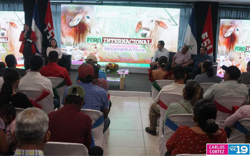 FORO12