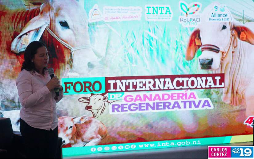 FORO15