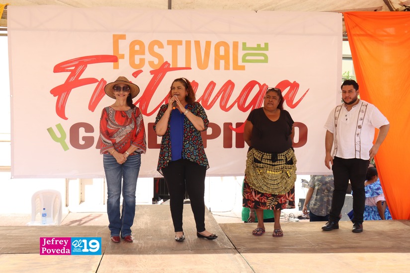 FRITANGA-(18)