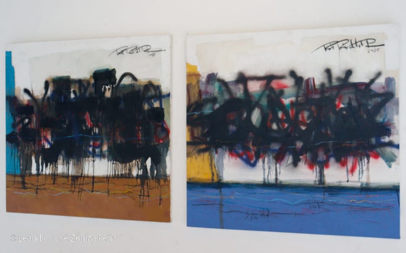 PINTURA-(9)