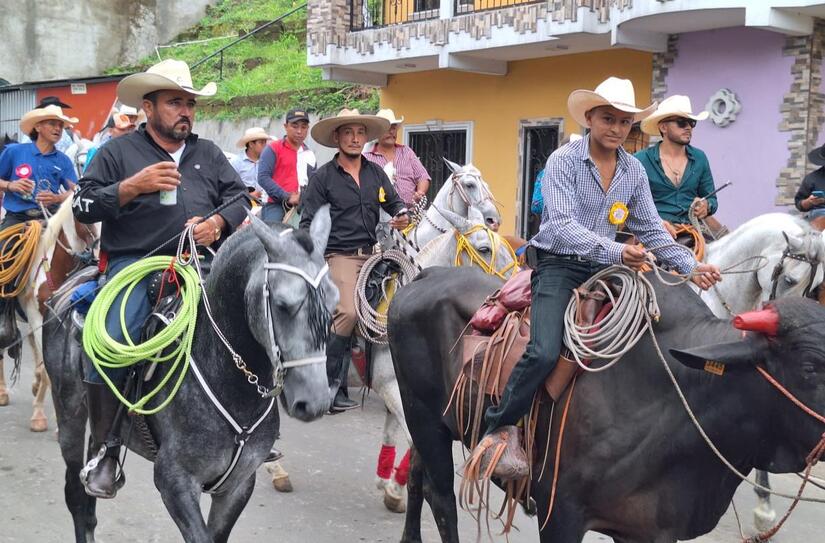 HIPICOS02