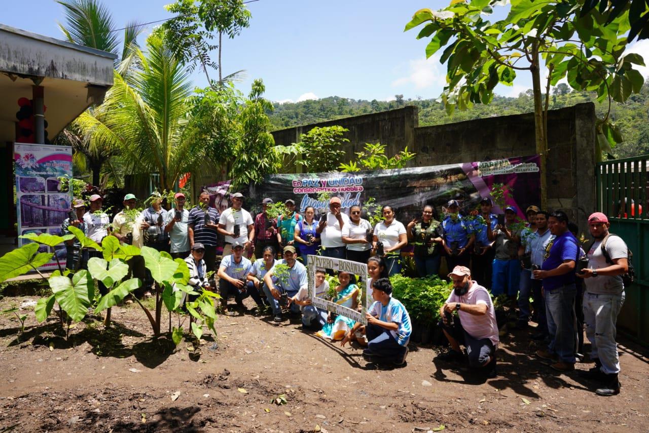 VIVERO6