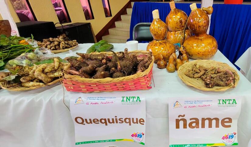 INTA7