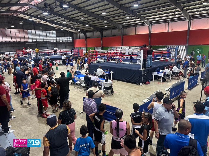 BOXEO11