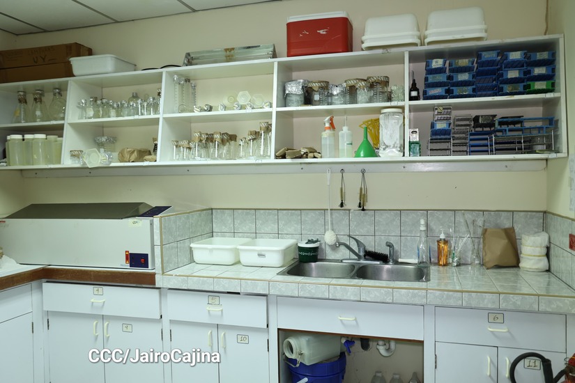 LABORATORIOS11