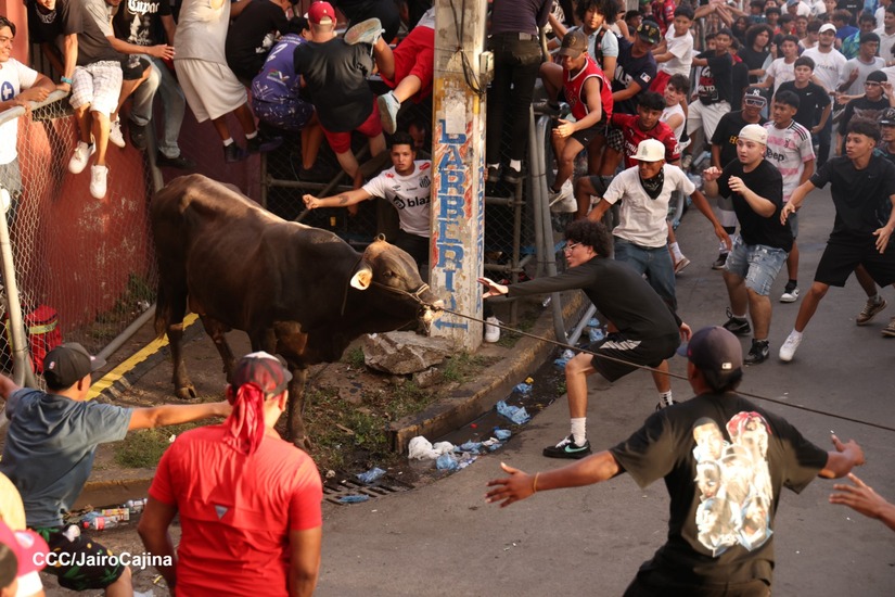 VACAS-CULONAS--(4)