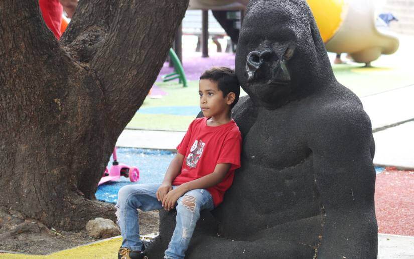 PARQUE-(6)