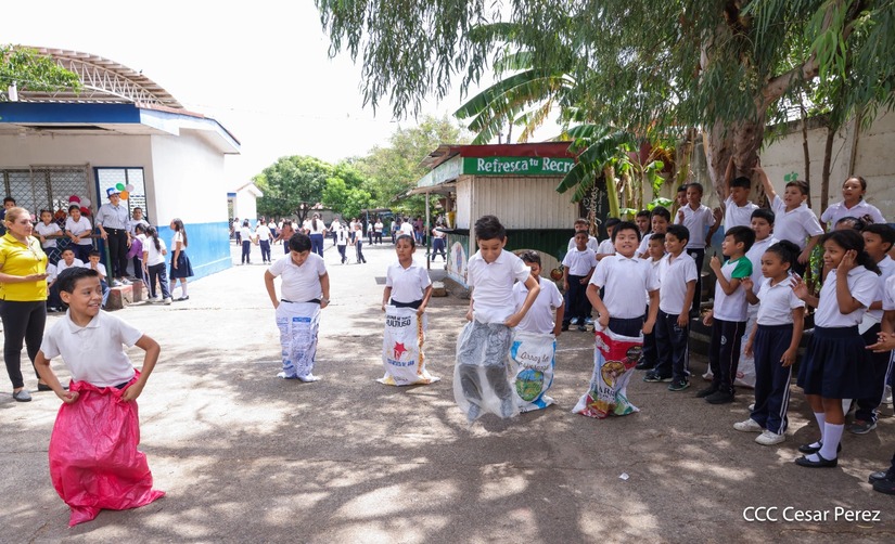 COLEGIO13