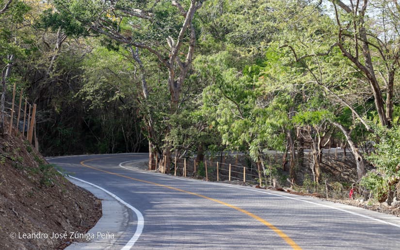 COSTANERA42