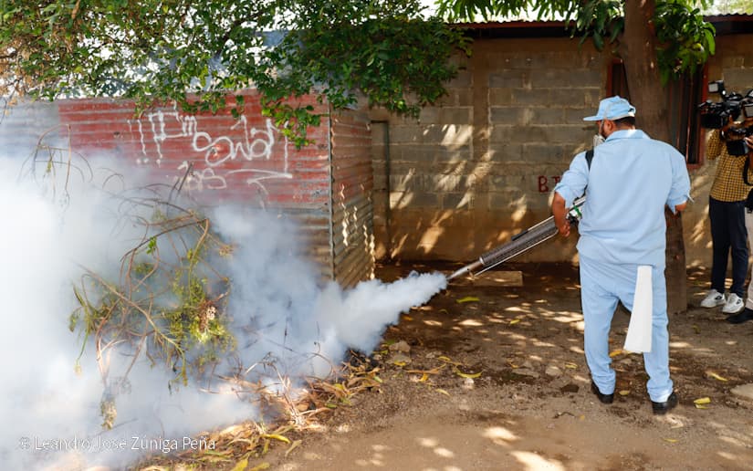 fumigacion4