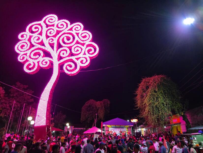 ARBOL-(2)