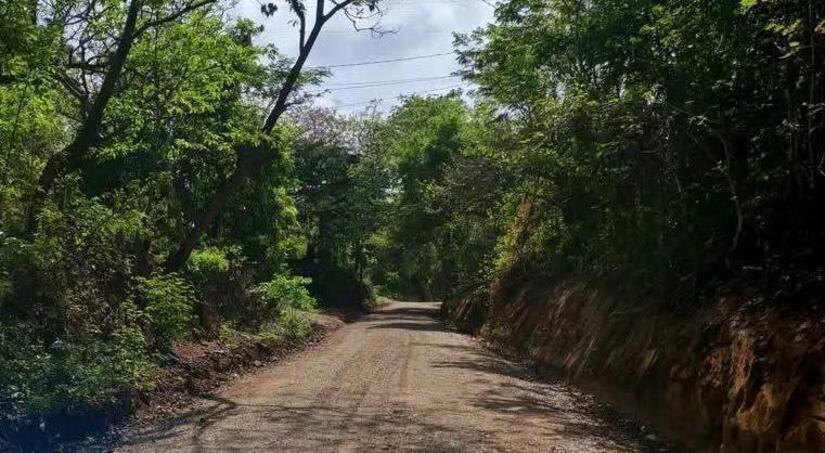 CAMINOS20