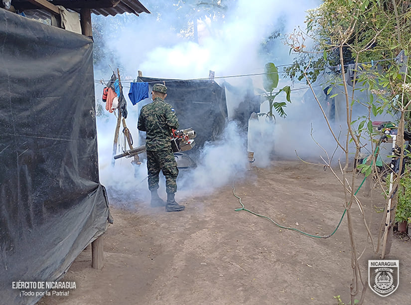 FUMIGACION1