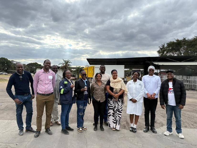 ZIMBABUE2