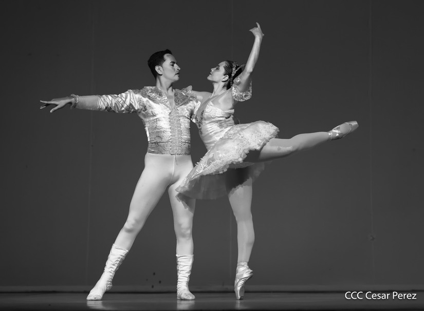DANZA11