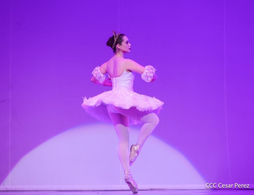 DANZA14