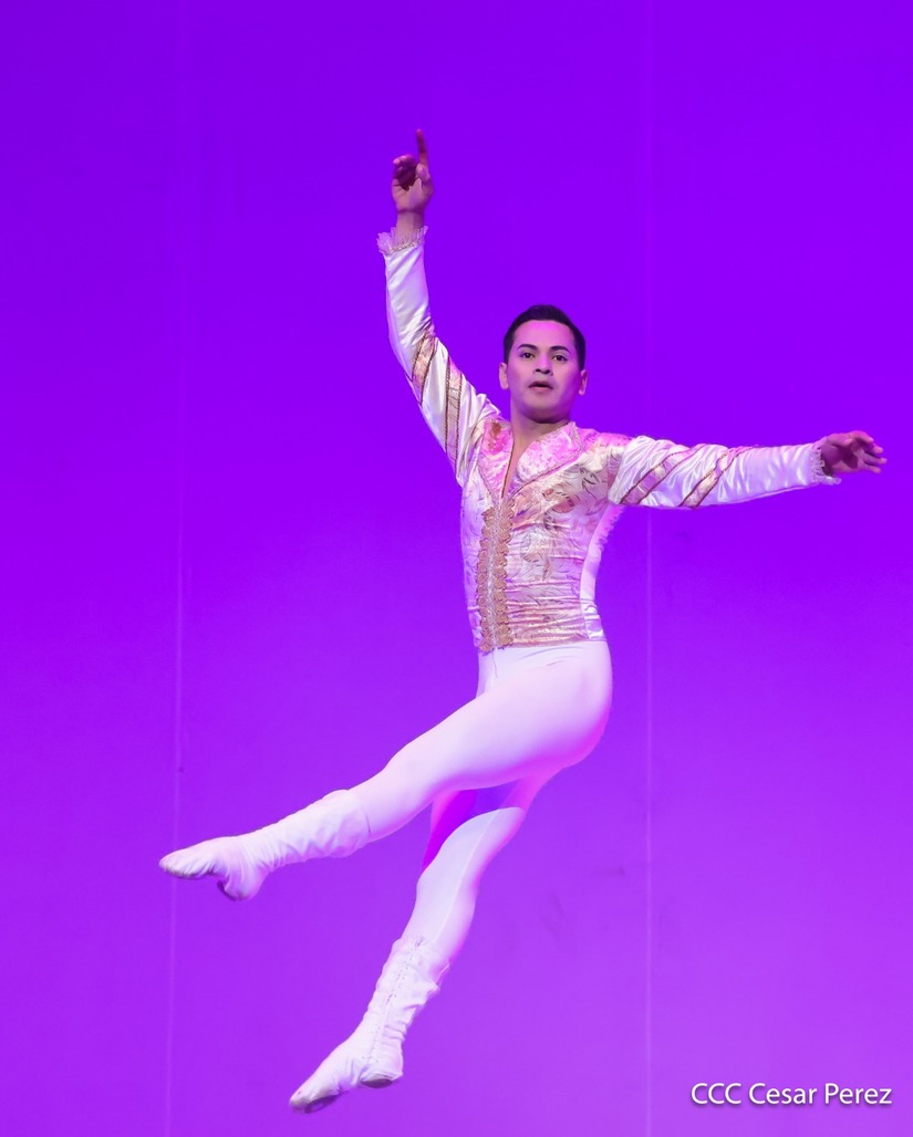 DANZA15