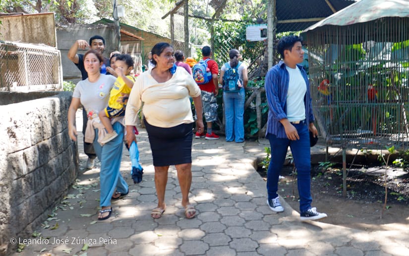 ZOOLOGICO-(20)