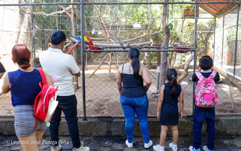 ZOOLOGICO-(24)