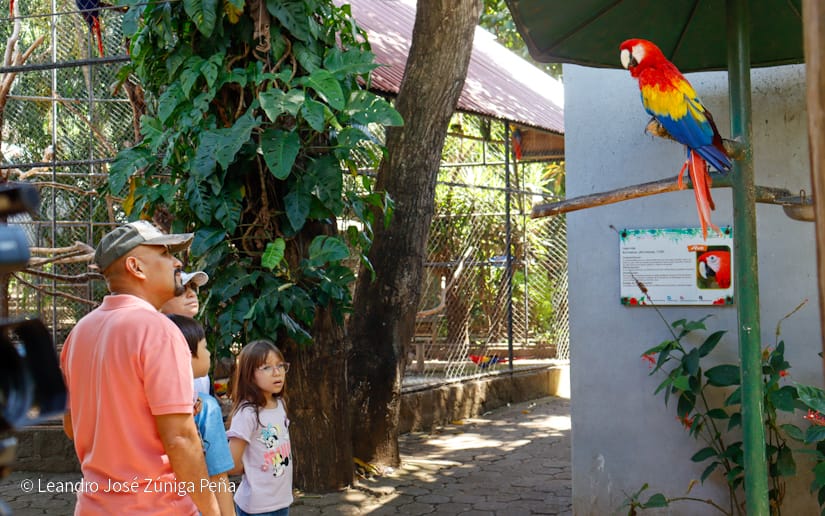 ZOOLOGICO-(28)