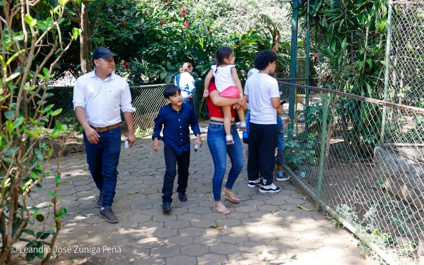 ZOOLOGICO-(7)