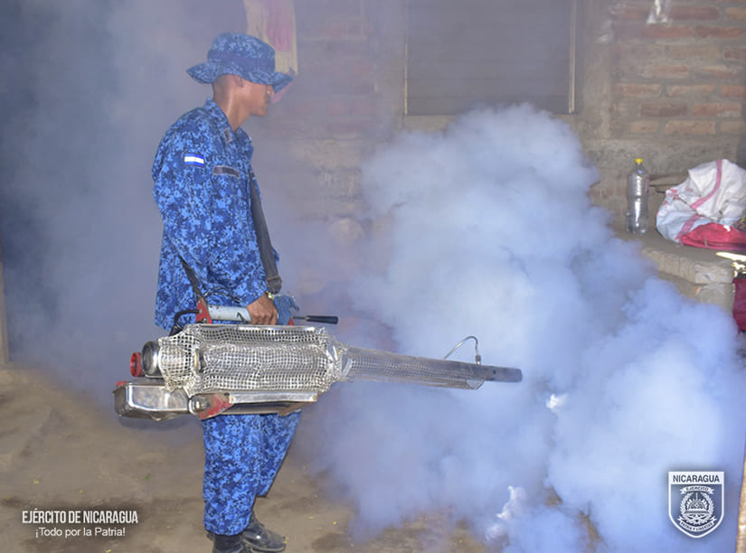 FUMIGACION2