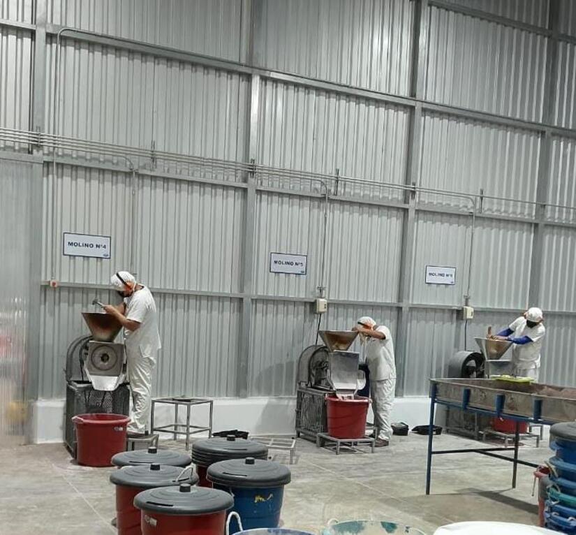 IPSA2