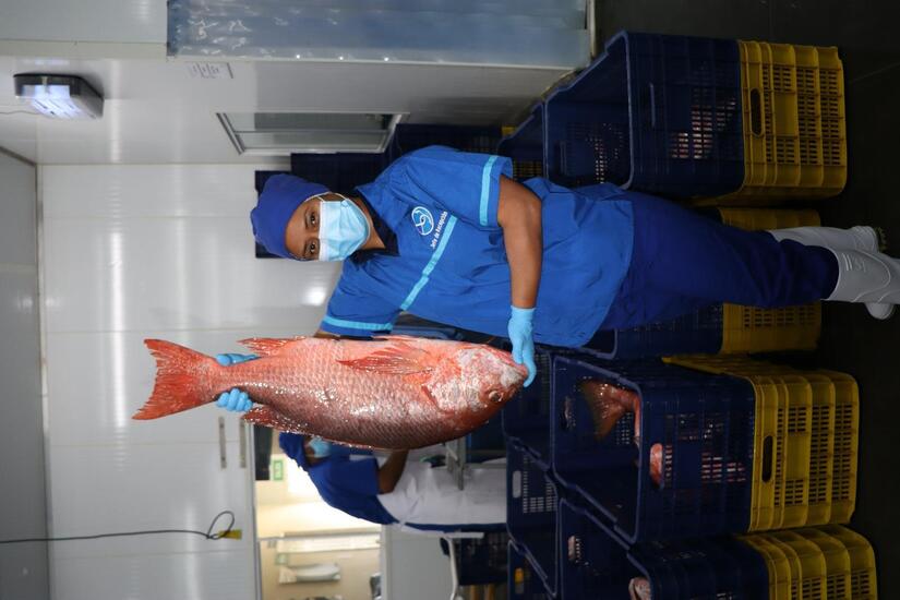 INPESCA9