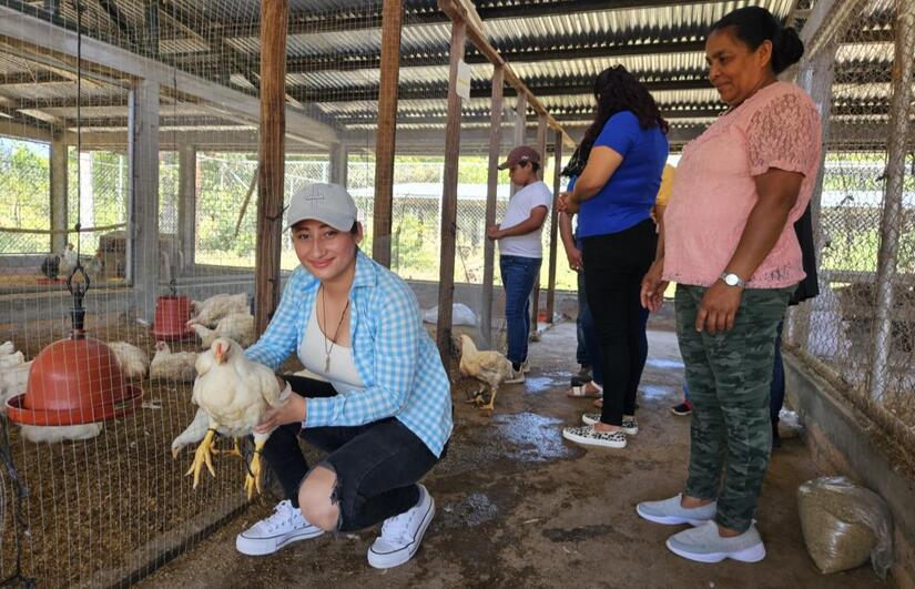 INTA-6