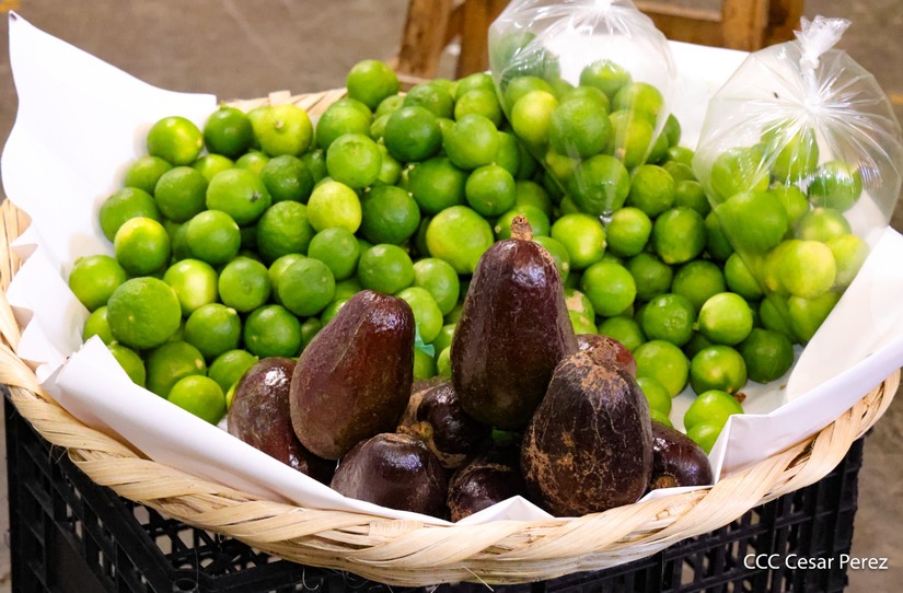MERCADO2