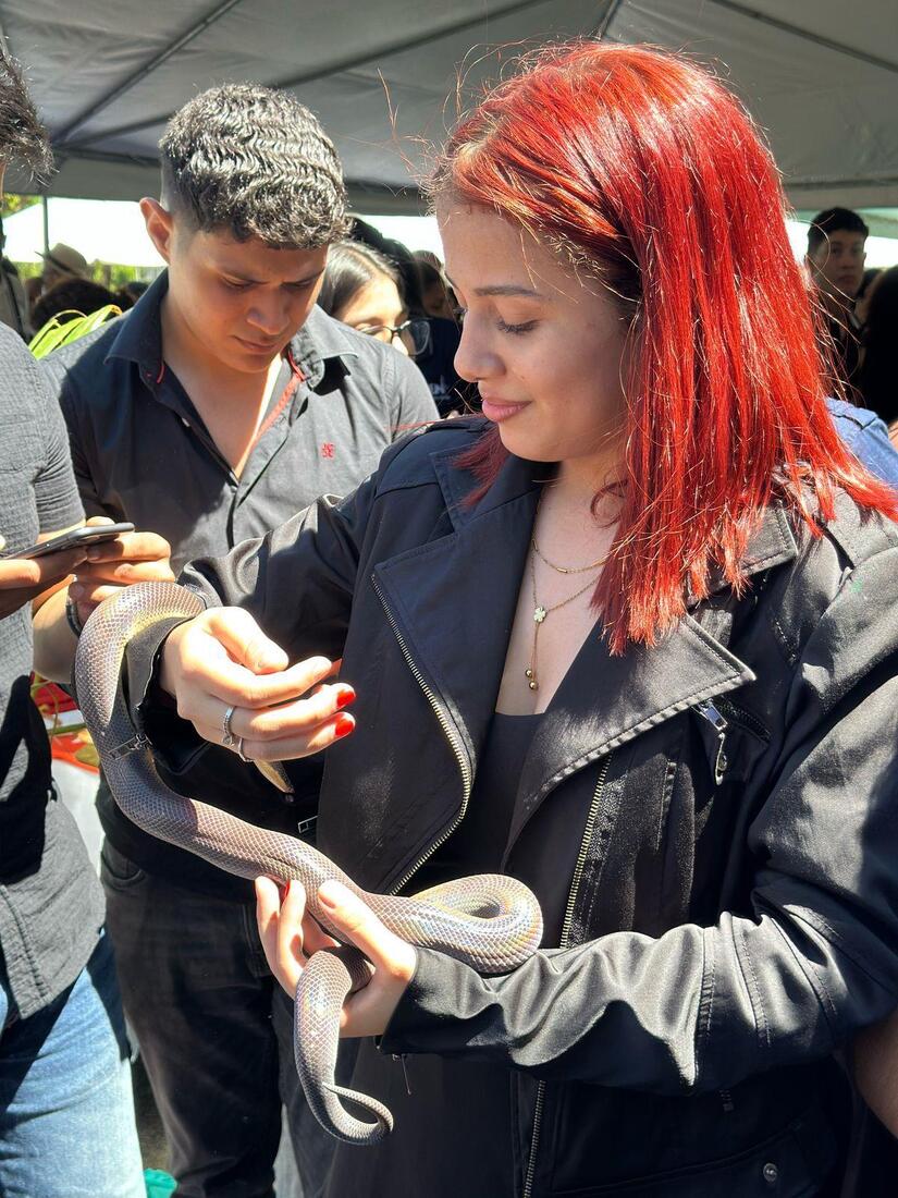 UNI8