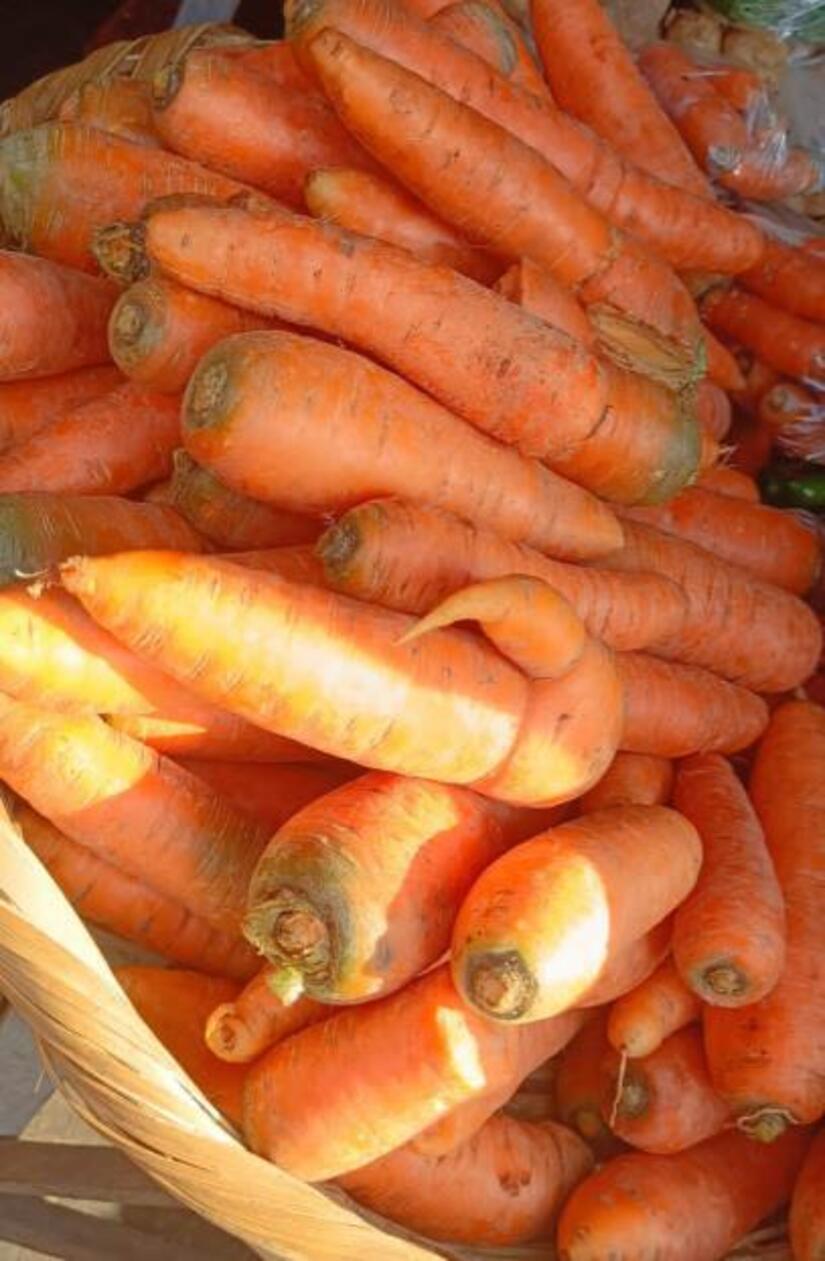 ZANAHORIA-(3)