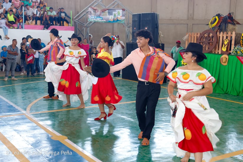 QUESILLO-(31)
