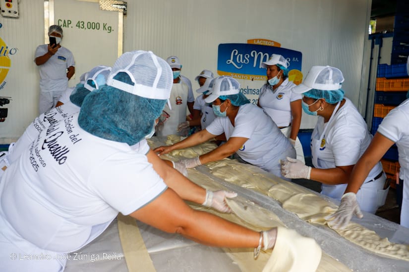 QUESILLO-(41)