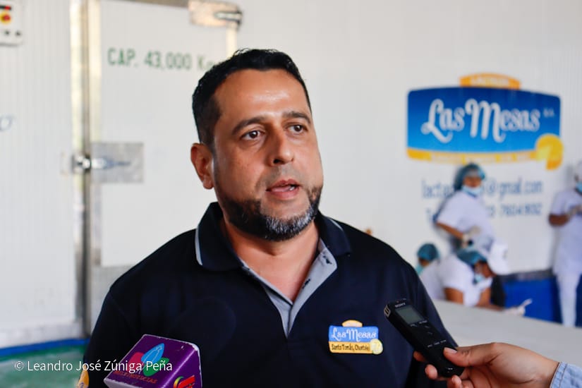 QUESILLO-(51)