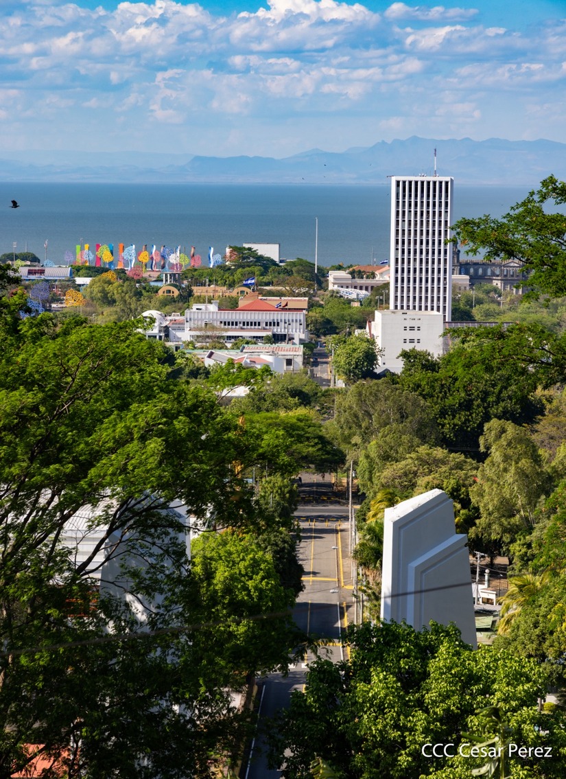 TISCAPA4