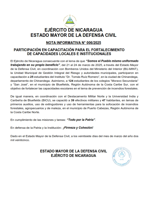 ejercito-11