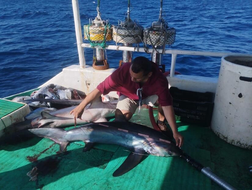 INPESCA5