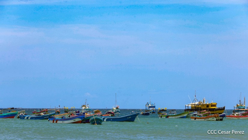 PLAYA-(44)