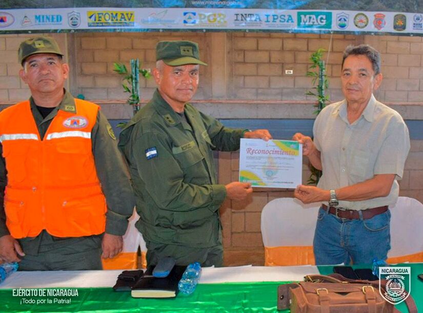 FORESTAL2