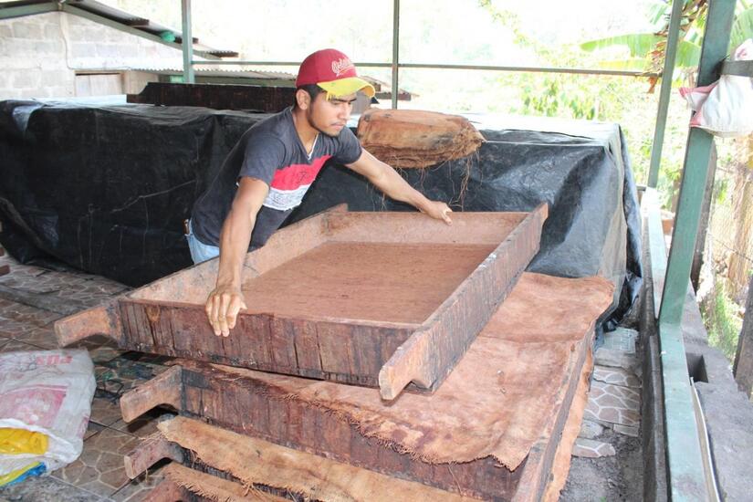 CACAO-(6)