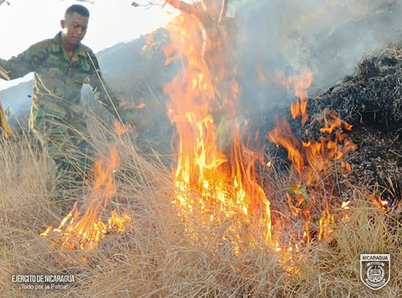INCENDIO1