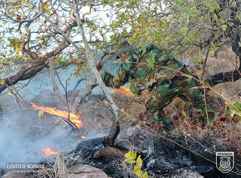 INCENDIO5