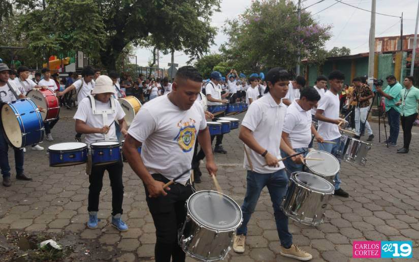 BANDAS6